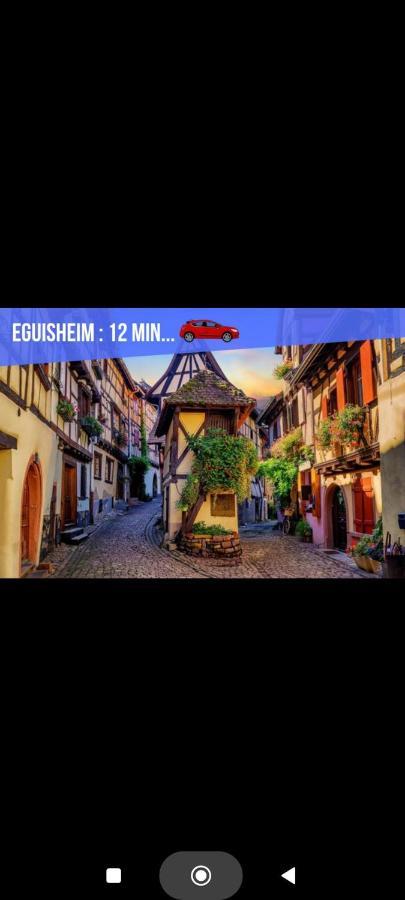 Refuge Ladhof Odysalis I Chic-Moderne-Proche Du Centre-Ville 3 Pieces 2 Chambres Colmar Eksteriør bilde
